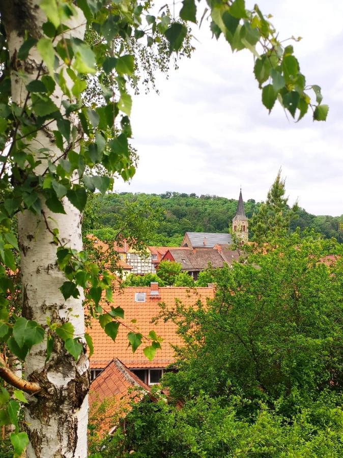 Ferienhaus Blaue Blume: Eco-Friendly Retreat with EV Charging & Sauna Guntersberge Exterior photo